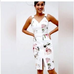 NWT Ted Baker White Woodland body on dress.